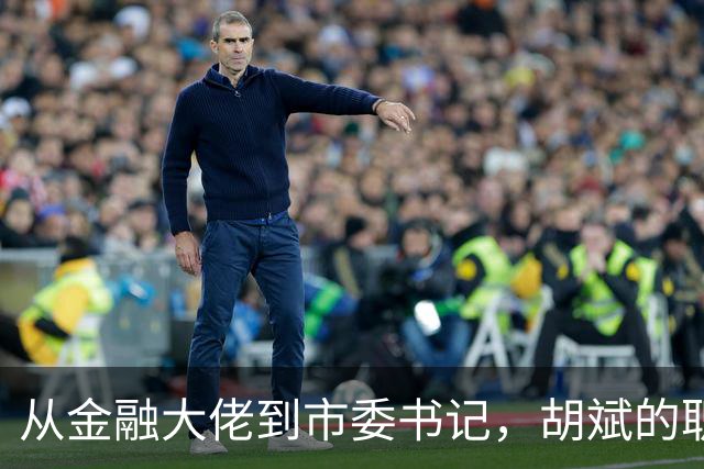 从金融大佬到市委书记，胡斌的职场传奇
